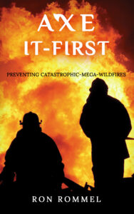 Axe-It-First: Preventing Catastrophic-Mega-Wildfires